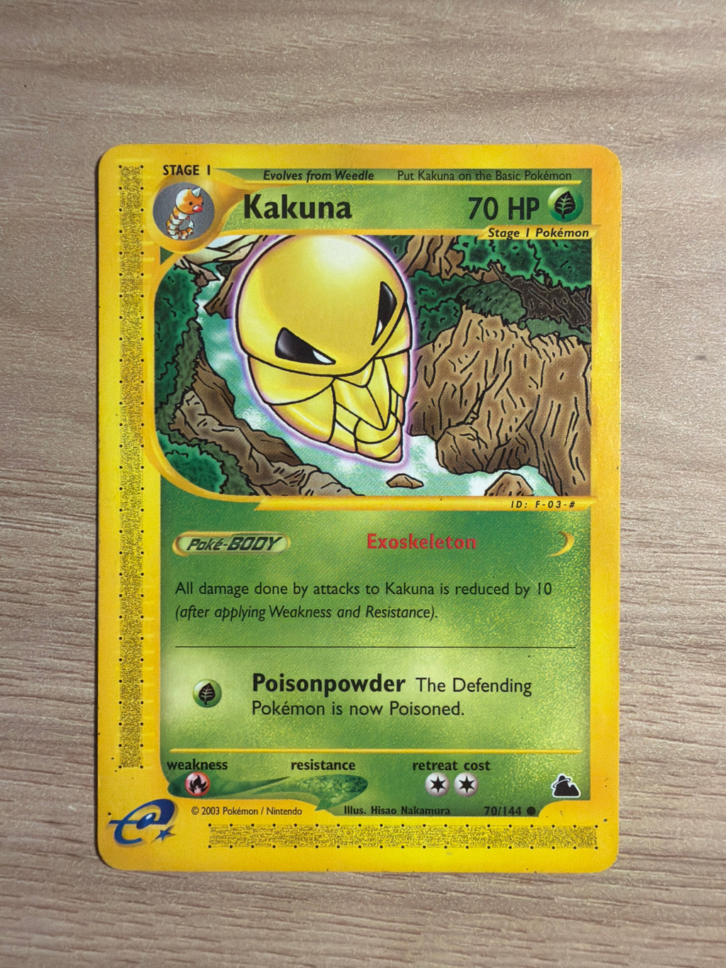 Kakuna common #70