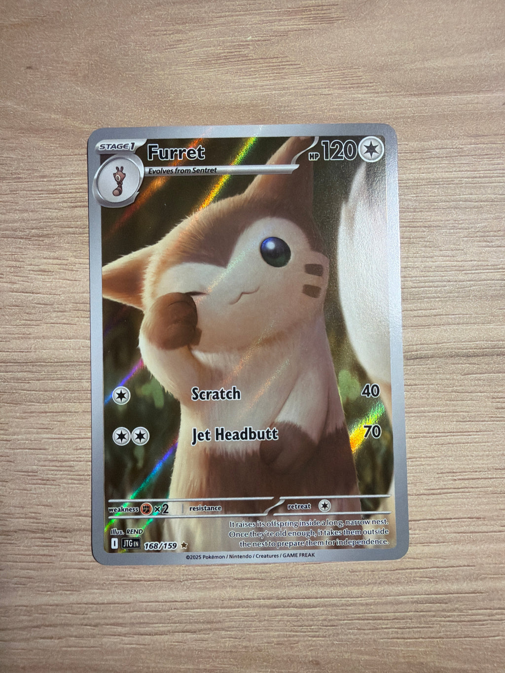 Furret IR #168