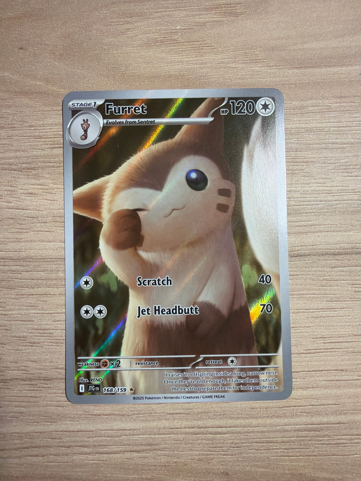 Furret IR #168
