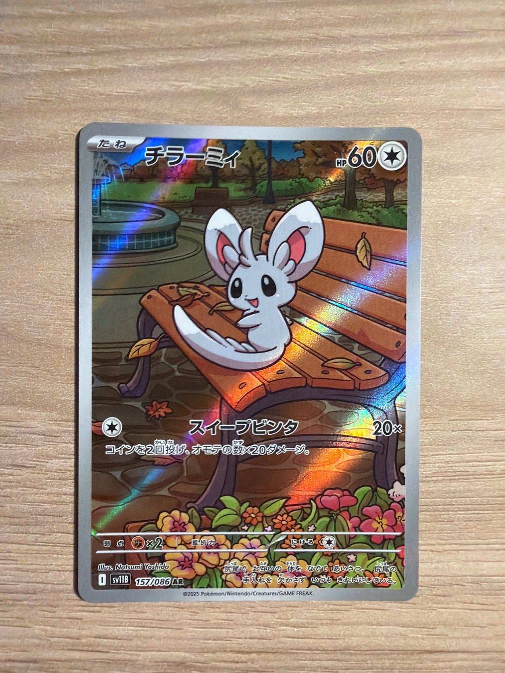 Minccino #157