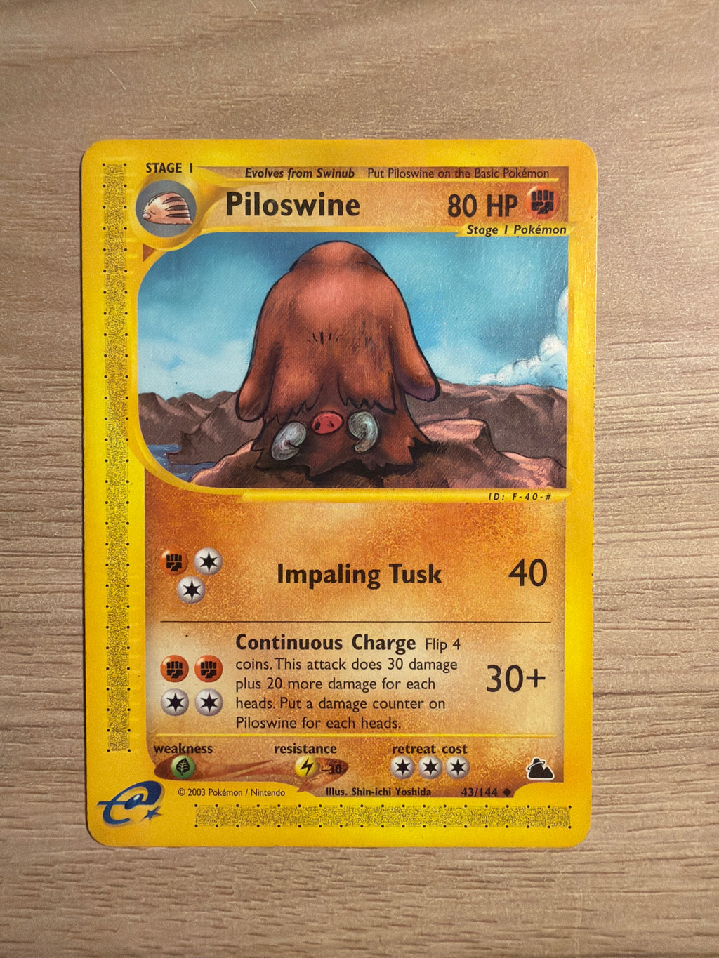 Piloswine common #43