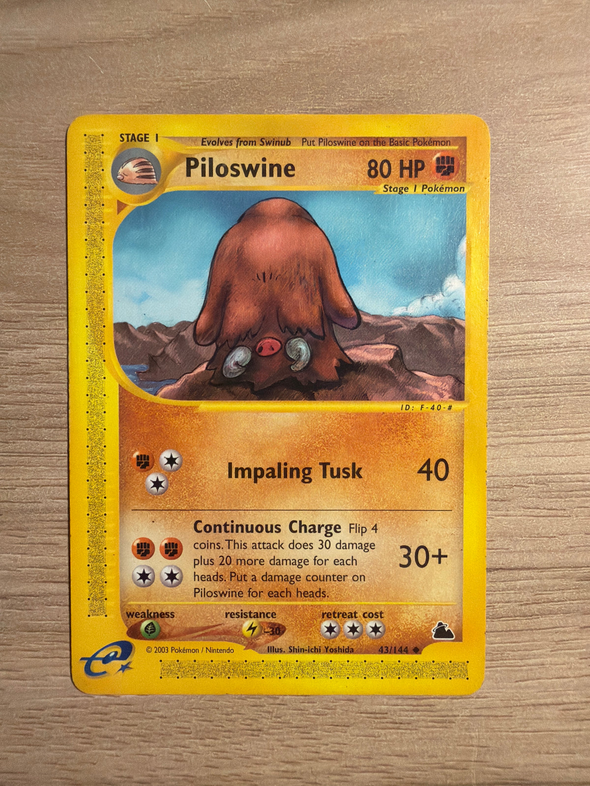 Piloswine common #43